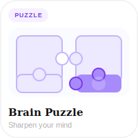 Brain Puzzles